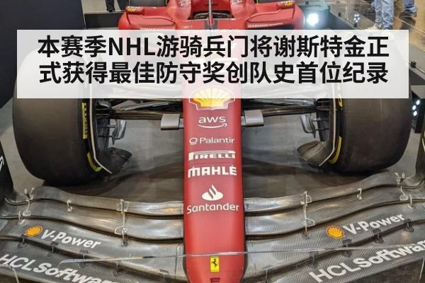 本赛季NHL游骑兵门将谢斯特金正式获得最佳防守奖创队史首位纪录